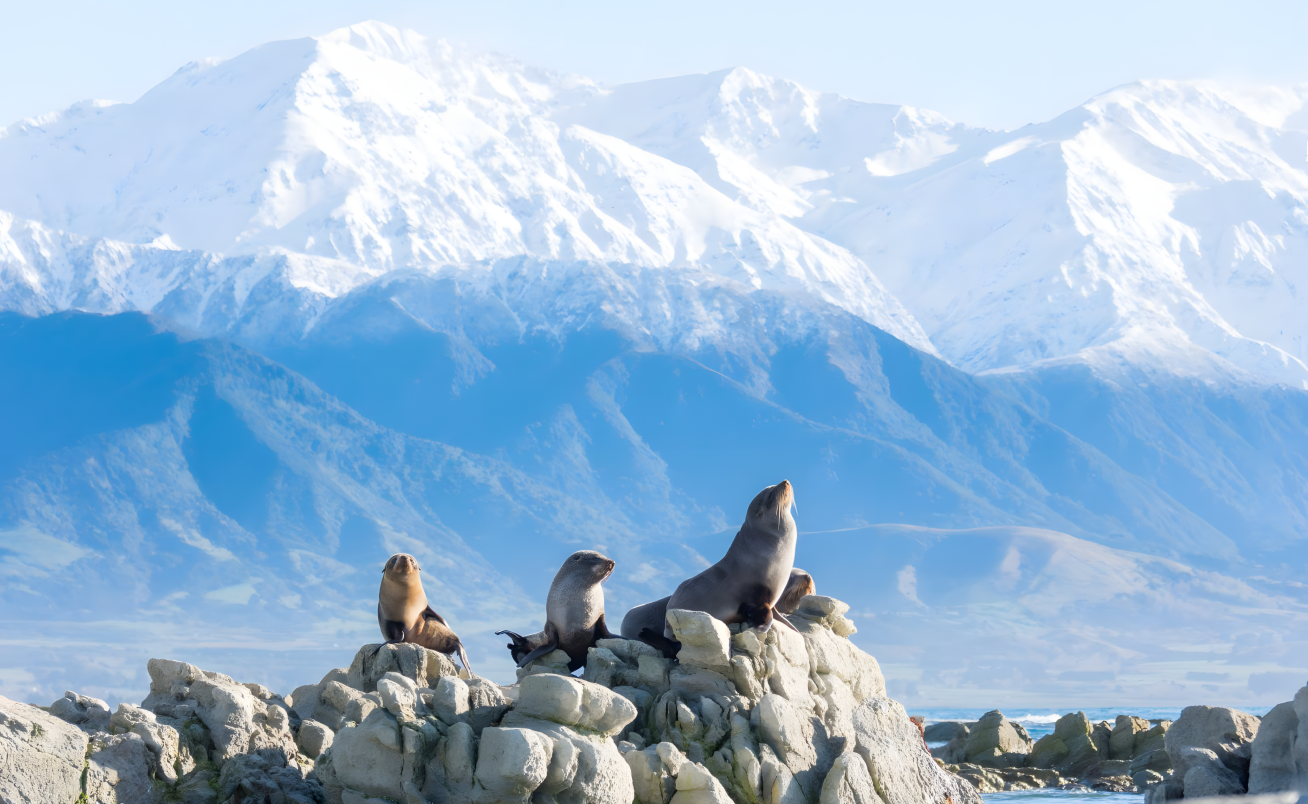 15-Day New Zealand Grand Discovery Tour
