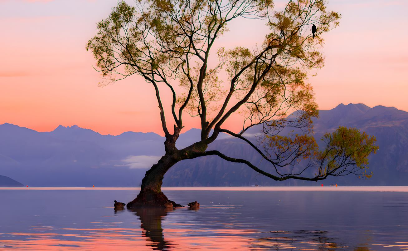 Wanaka and Arrowtown Private Day Tour from Queenstown