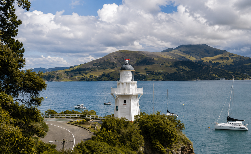 Kaikoura Day Tour From Christchurch