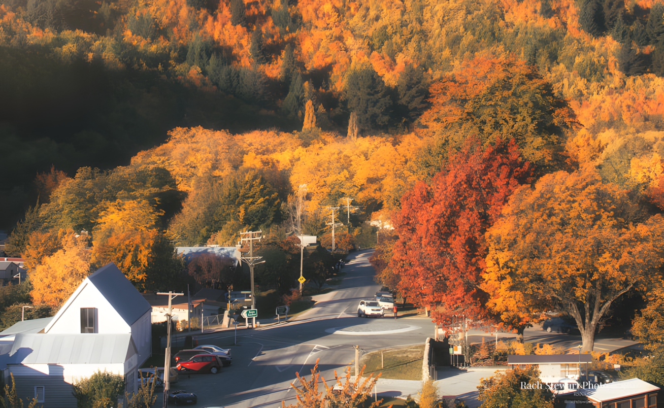 Queenstown Highlights Private Day Tour