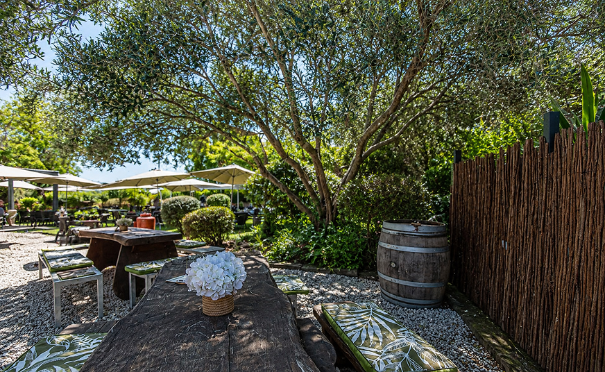 Waipara Valley Private Wine Tour